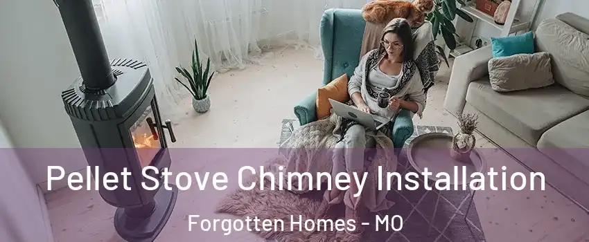 Pellet Stove Chimney Installation Forgotten Homes - MO