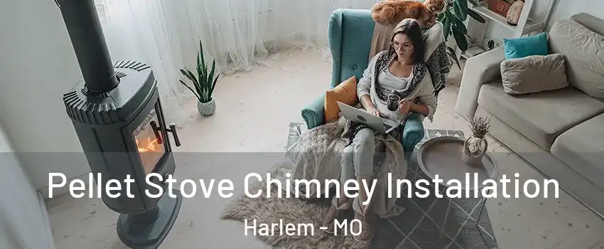 Pellet Stove Chimney Installation Harlem - MO