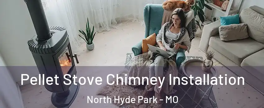 Pellet Stove Chimney Installation North Hyde Park - MO