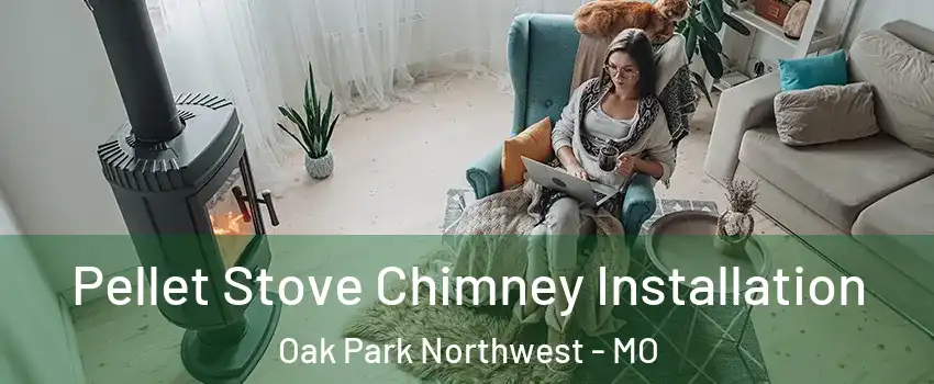 Pellet Stove Chimney Installation Oak Park Northwest - MO