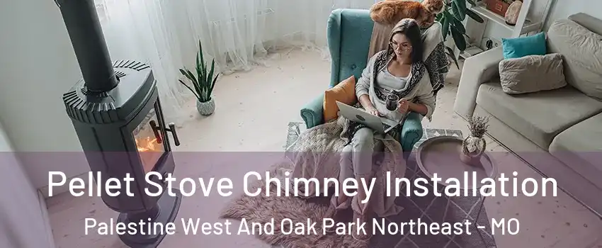 Pellet Stove Chimney Installation Palestine West And Oak Park Northeast - MO