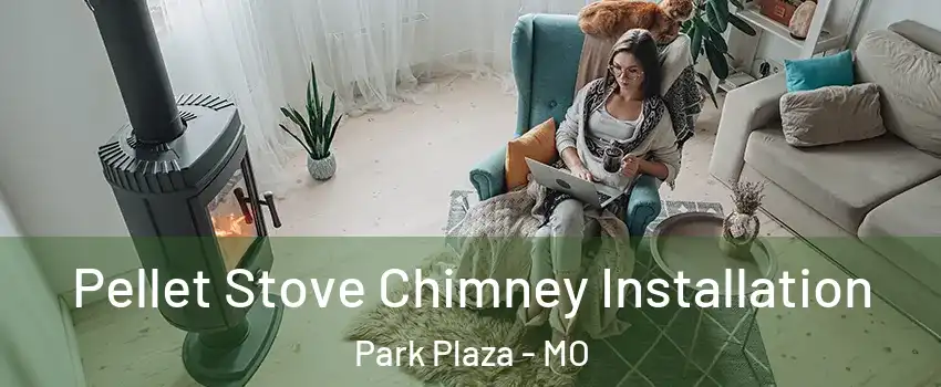 Pellet Stove Chimney Installation Park Plaza - MO