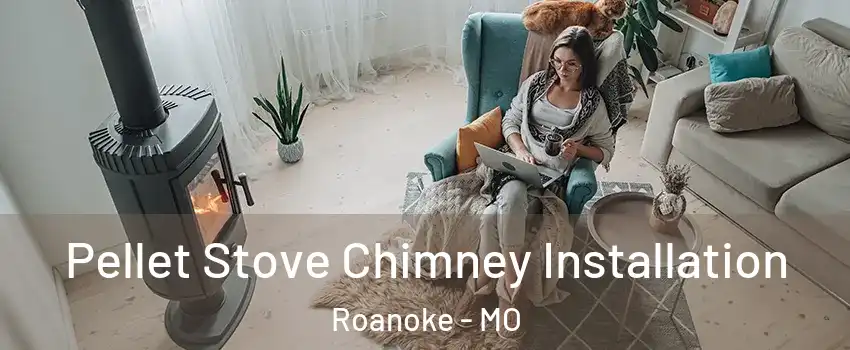 Pellet Stove Chimney Installation Roanoke - MO