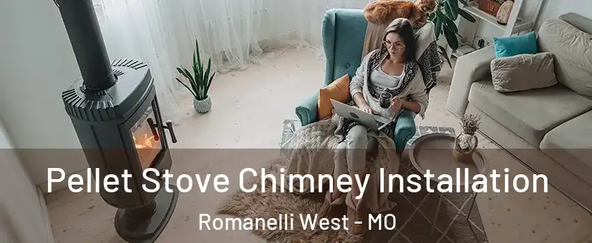 Pellet Stove Chimney Installation Romanelli West - MO
