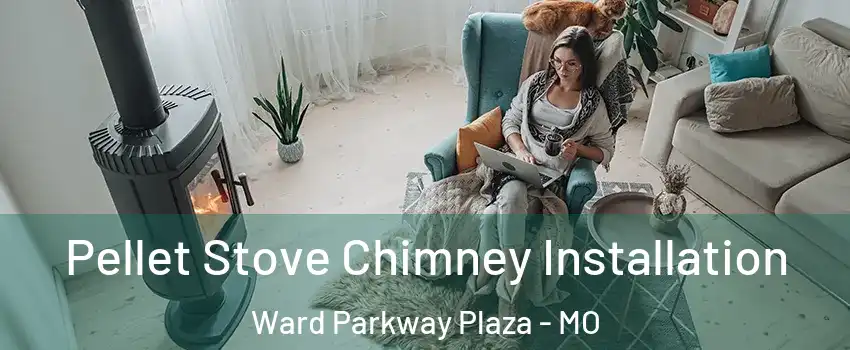 Pellet Stove Chimney Installation Ward Parkway Plaza - MO