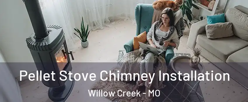 Pellet Stove Chimney Installation Willow Creek - MO