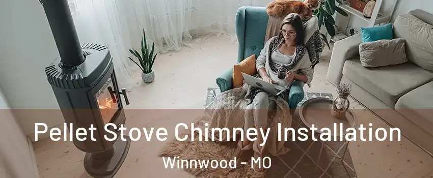 Pellet Stove Chimney Installation Winnwood - MO