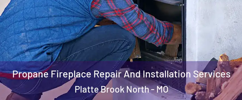Propane Fireplace Repair And Installation Services Platte Brook North - MO