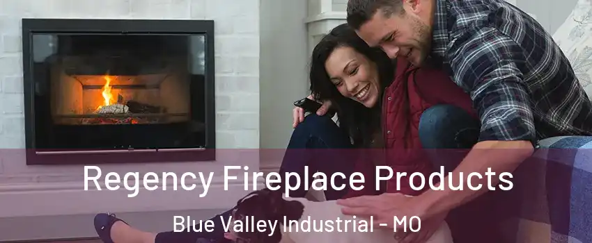 Regency Fireplace Products Blue Valley Industrial - MO