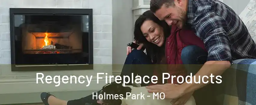 Regency Fireplace Products Holmes Park - MO