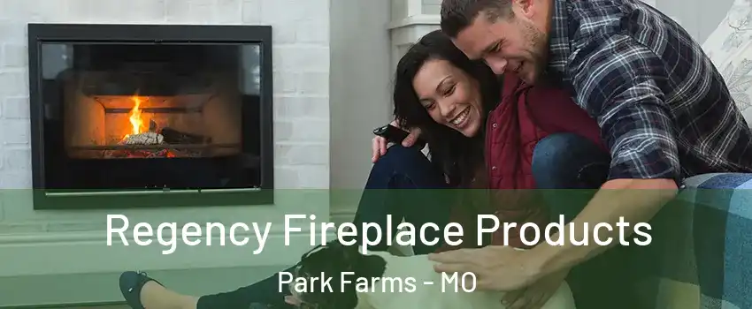 Regency Fireplace Products Park Farms - MO