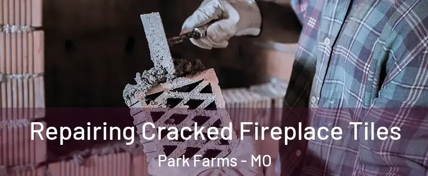 Repairing Cracked Fireplace Tiles Park Farms - MO
