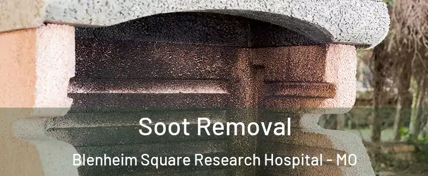 Soot Removal Blenheim Square Research Hospital - MO