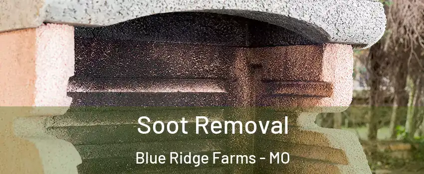 Soot Removal Blue Ridge Farms - MO