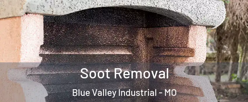Soot Removal Blue Valley Industrial - MO