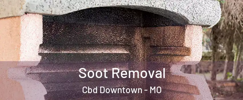Soot Removal Cbd Downtown - MO