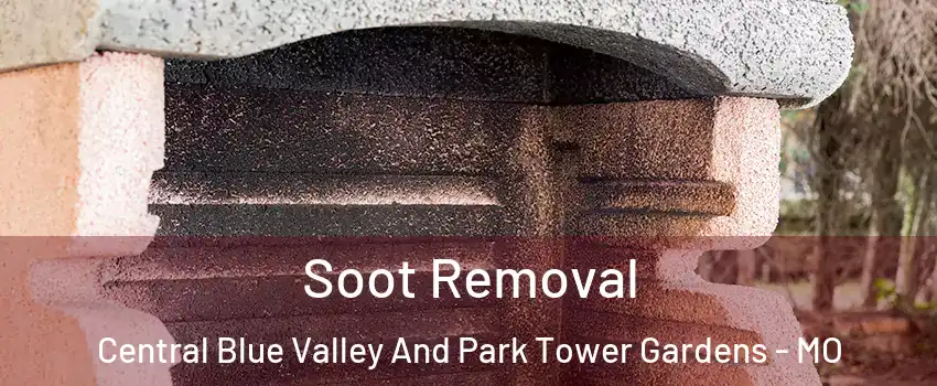 Soot Removal Central Blue Valley And Park Tower Gardens - MO
