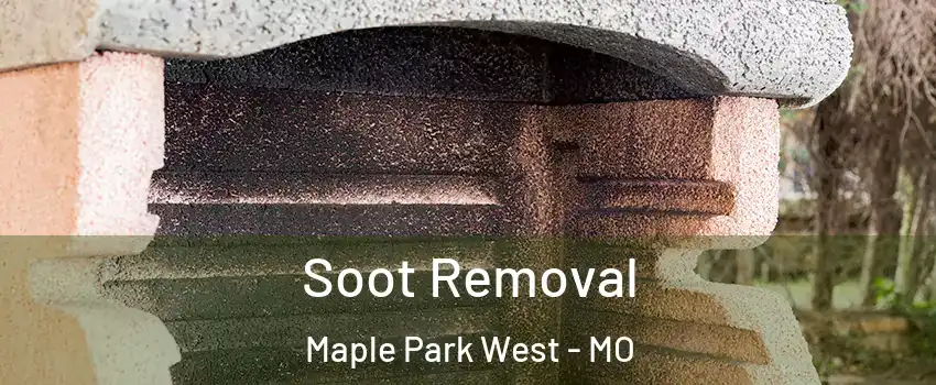 Soot Removal Maple Park West - MO