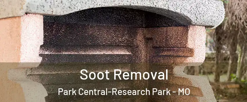 Soot Removal Park Central-Research Park - MO