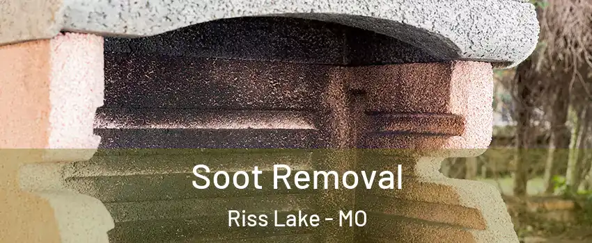 Soot Removal Riss Lake - MO