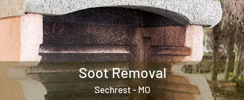 Soot Removal Sechrest - MO