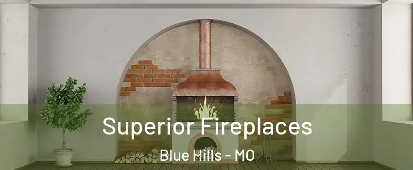 Superior Fireplaces Blue Hills - MO