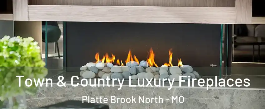 Town & Country Luxury Fireplaces Platte Brook North - MO