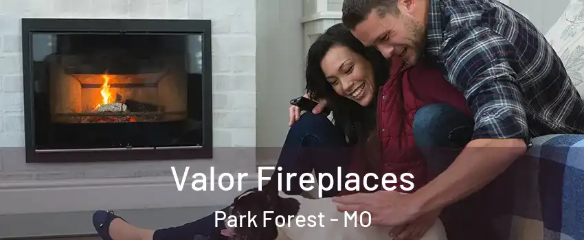 Valor Fireplaces Park Forest - MO