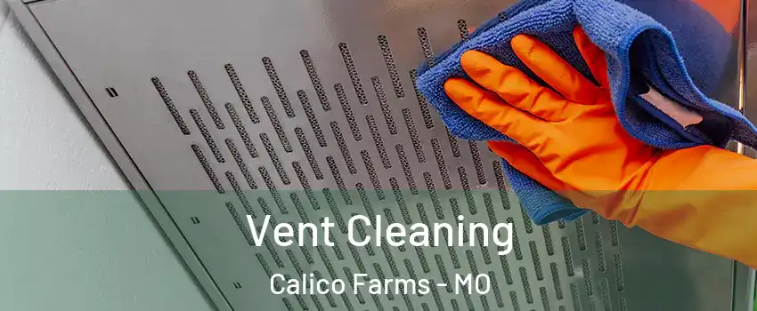 Vent Cleaning Calico Farms - MO