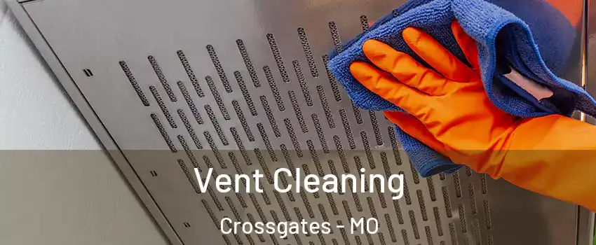 Vent Cleaning Crossgates - MO