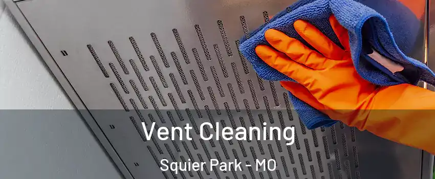 Vent Cleaning Squier Park - MO