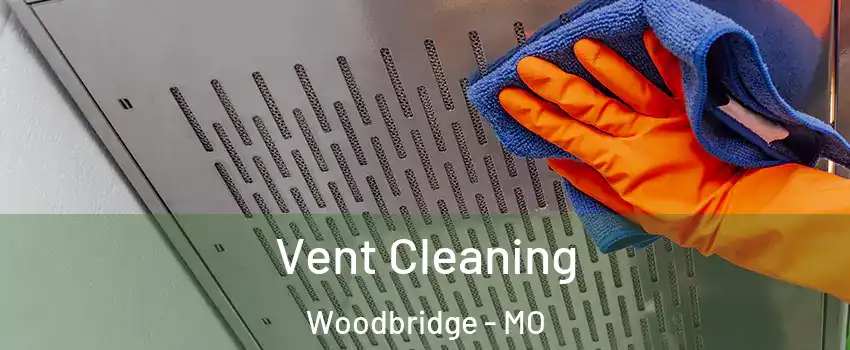 Vent Cleaning Woodbridge - MO