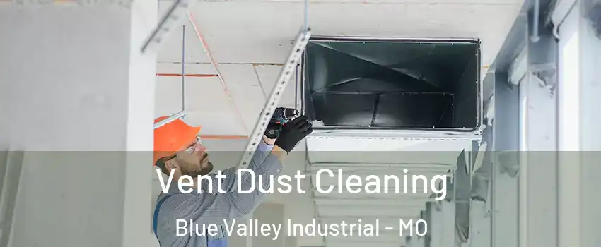 Vent Dust Cleaning Blue Valley Industrial - MO