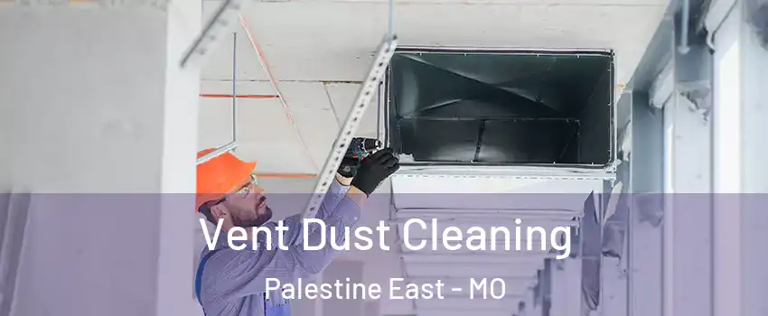 Vent Dust Cleaning Palestine East - MO