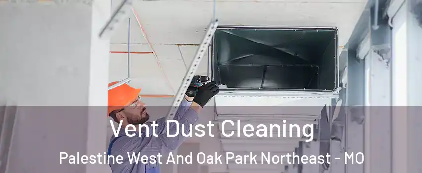 Vent Dust Cleaning Palestine West And Oak Park Northeast - MO