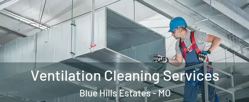 Ventilation Cleaning Services Blue Hills Estates - MO