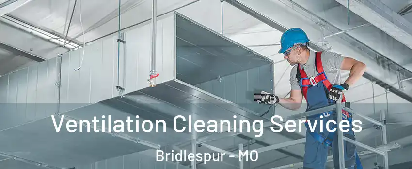 Ventilation Cleaning Services Bridlespur - MO