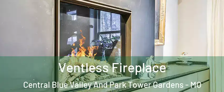 Ventless Fireplace Central Blue Valley And Park Tower Gardens - MO