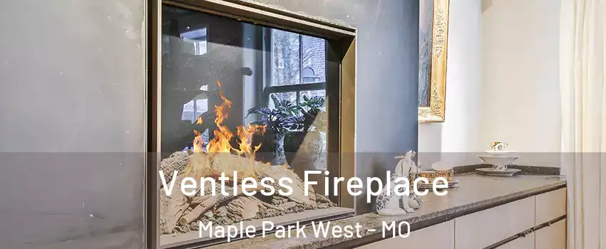 Ventless Fireplace Maple Park West - MO
