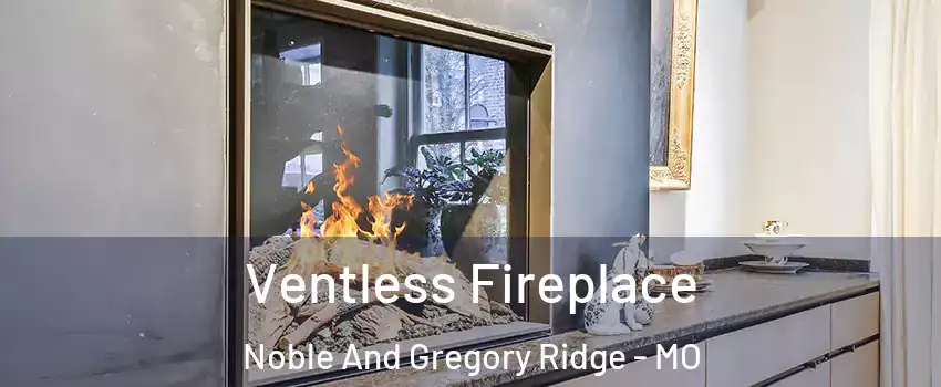 Ventless Fireplace Noble And Gregory Ridge - MO