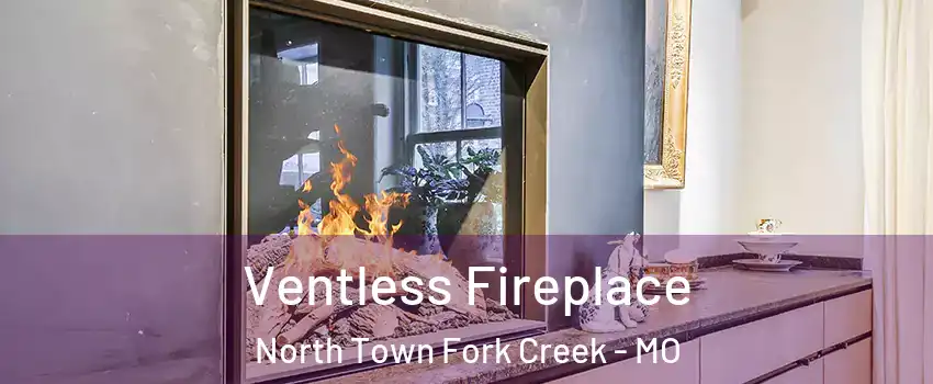 Ventless Fireplace North Town Fork Creek - MO