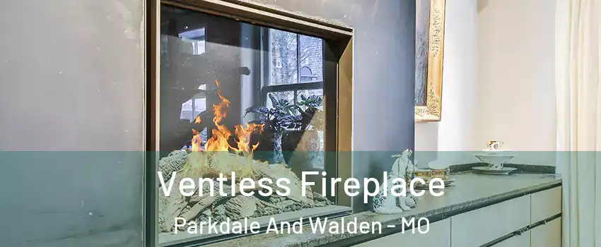 Ventless Fireplace Parkdale And Walden - MO