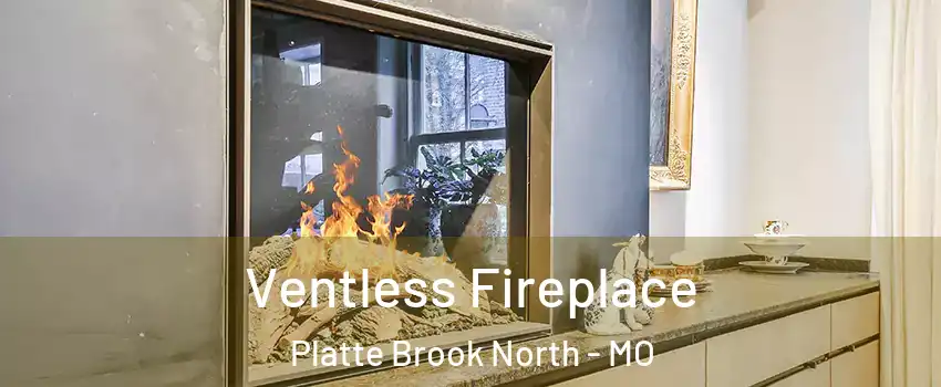 Ventless Fireplace Platte Brook North - MO