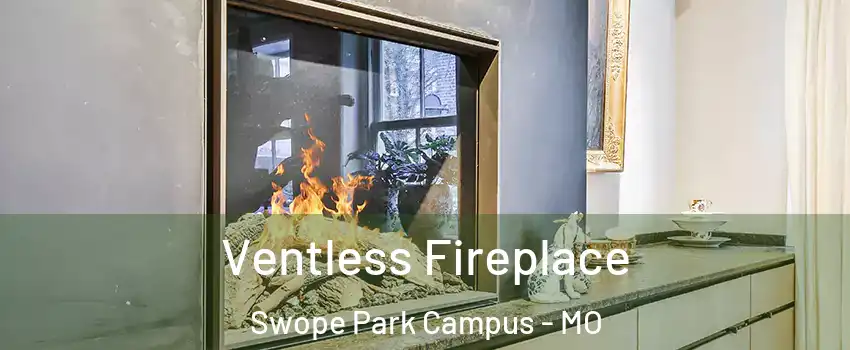 Ventless Fireplace Swope Park Campus - MO