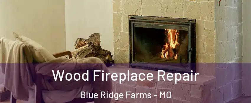 Wood Fireplace Repair Blue Ridge Farms - MO