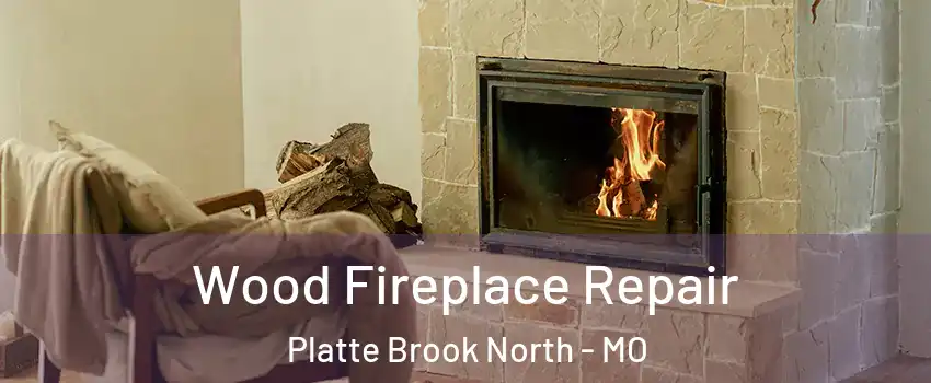 Wood Fireplace Repair Platte Brook North - MO