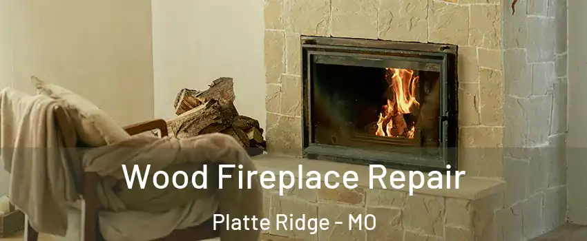 Wood Fireplace Repair Platte Ridge - MO