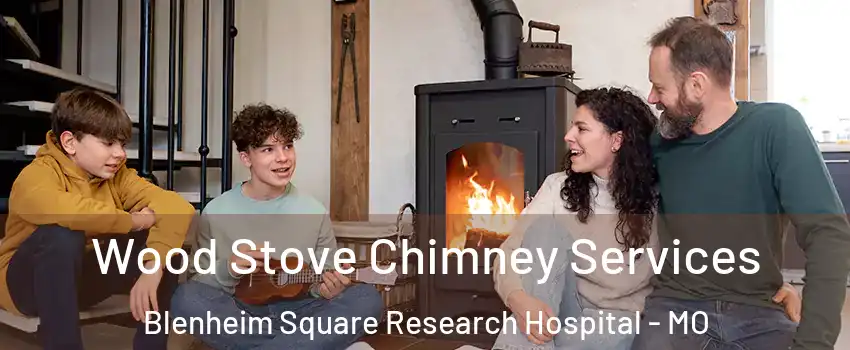 Wood Stove Chimney Services Blenheim Square Research Hospital - MO