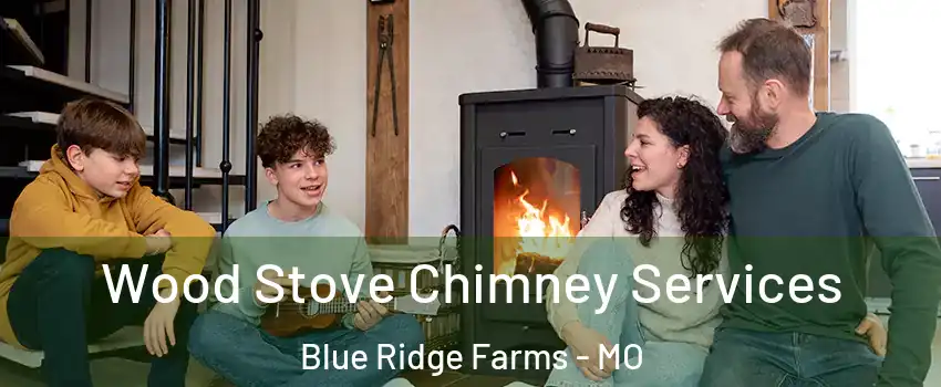 Wood Stove Chimney Services Blue Ridge Farms - MO