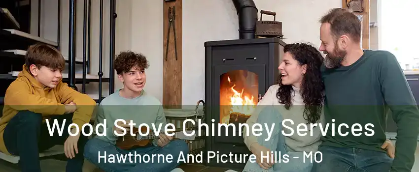 Wood Stove Chimney Services Hawthorne And Picture Hills - MO